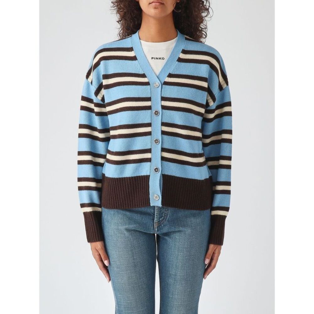 Pinko Women V-Neck Wool And Cashmere Blend Cardigan Pinko With Button Closure